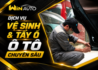 Dịch Vụ Vệ Sinh & Tẩy Ố Ô Tô Chuyên Sâu