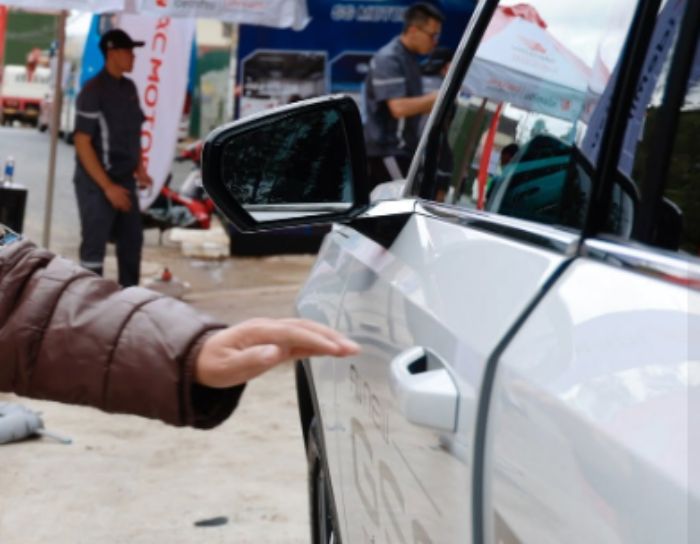 Cửa Hít Ô Tô